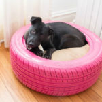 cama de cachorro pneus reutilizados